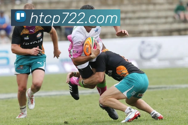 多终端兼容